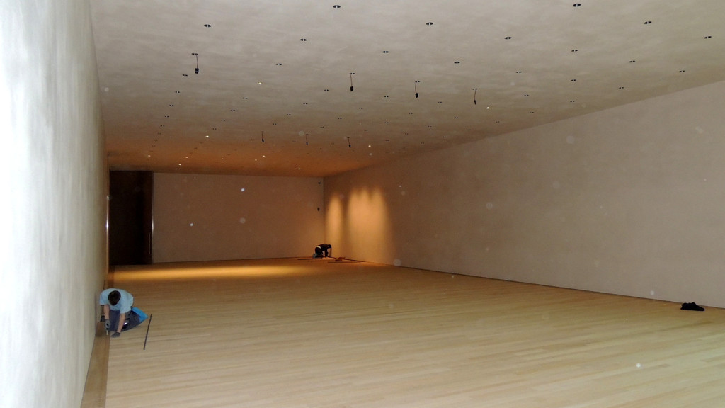 DSCN5909_JPG-1360446377