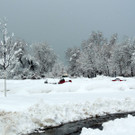 DSCN9124_JPG-1360446767