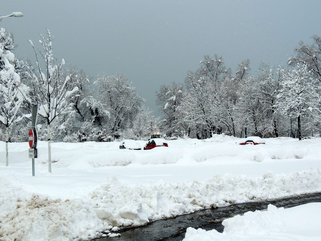 DSCN9124_JPG-1360446767