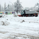 DSCN9113_JPG-1360446746