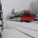 DSCN8839_JPG-1360447971