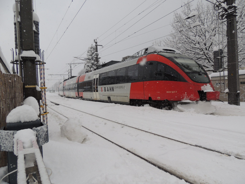 DSCN8839_JPG-1360447971