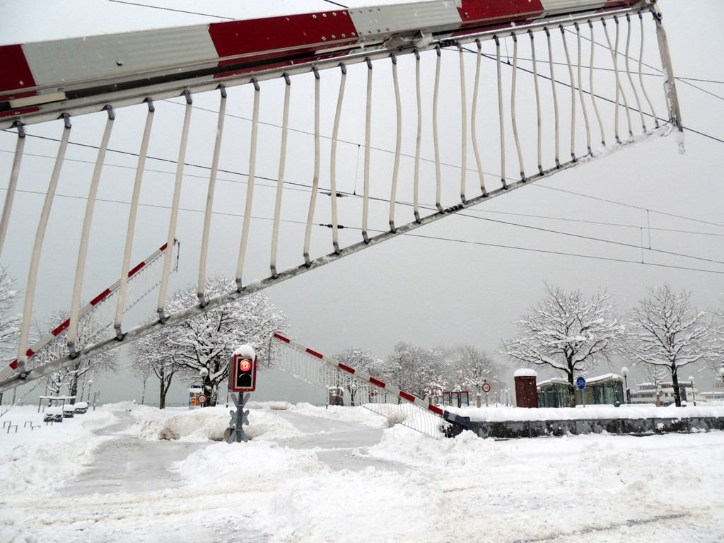 DSCN8841_JPG-1360447975