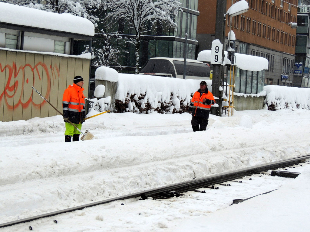 DSCN9264_JPG-1360447979