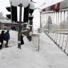 DSCN9541_JPG-1360448011