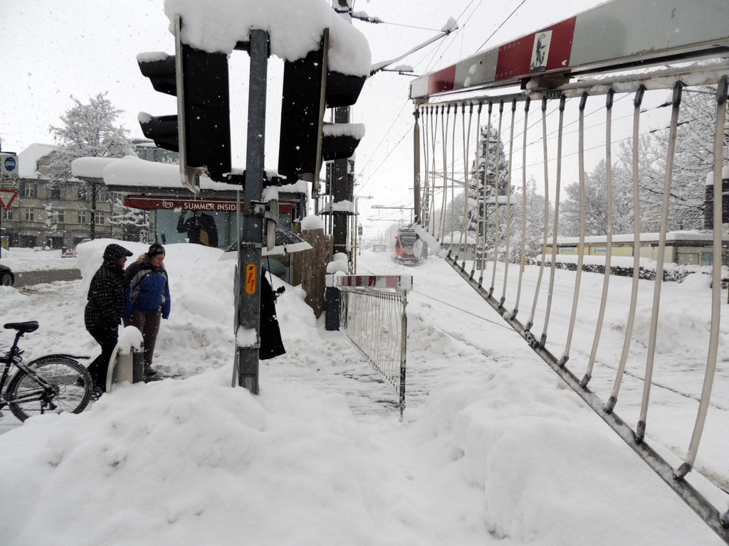 DSCN9541_JPG-1360448011