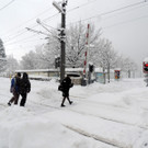 DSCN9543_JPG-1360448015