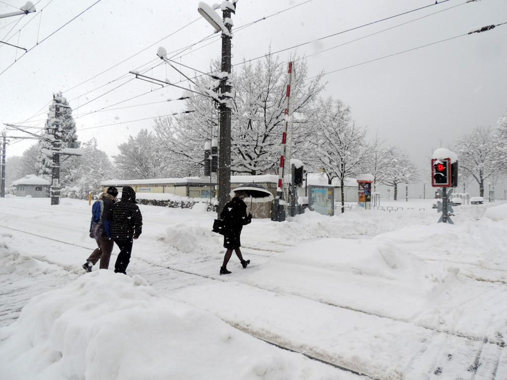 DSCN9543_JPG-1360448015