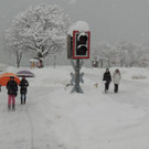 DSCN9452_JPG-1360448007