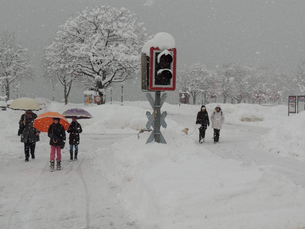 DSCN9452_JPG-1360448007