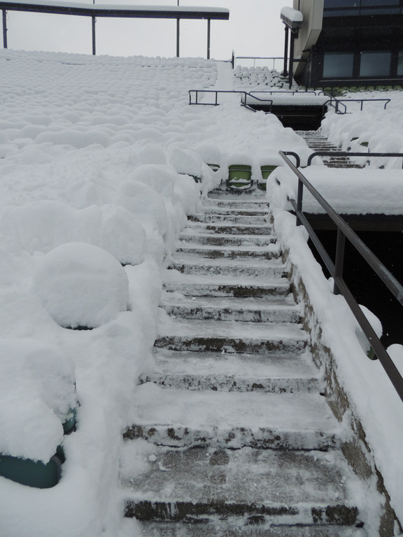 DSCN9236_JPG-1360449826