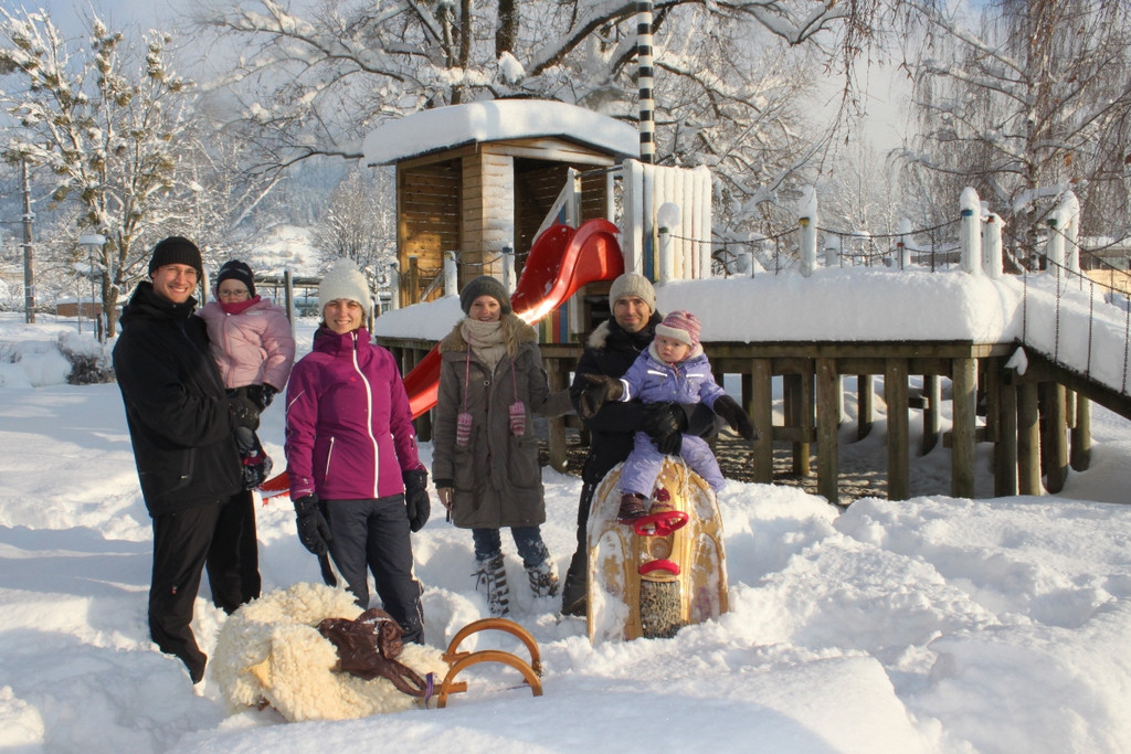 Winter Sonne 2013 _1__jpg-1360450123