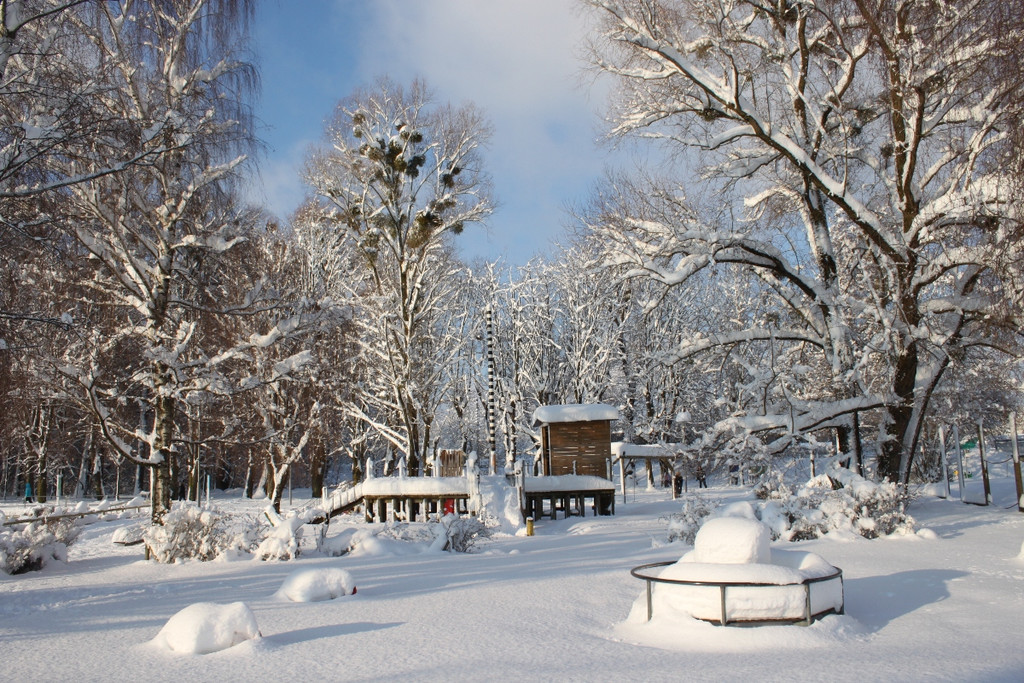 Winter Sonne 2013 _4__jpg-1360450145