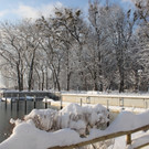 Winter Sonne 2013 _3__jpg-1360450137
