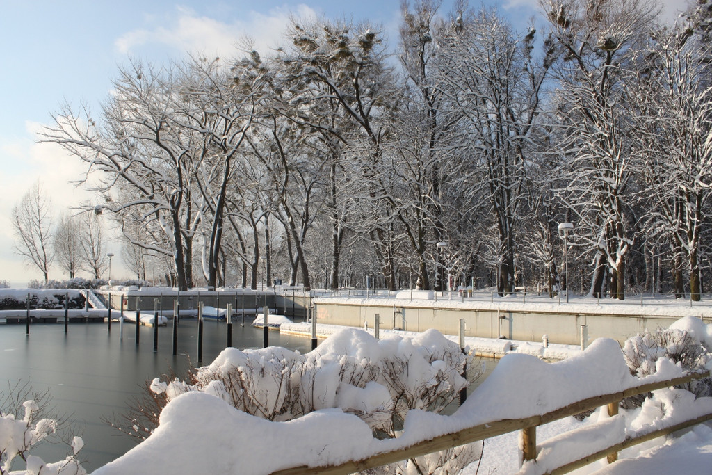 Winter Sonne 2013 _3__jpg-1360450137