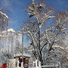 Winter Sonne 2013 _2__jpg-1360450130