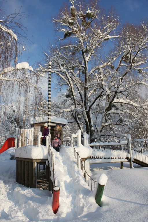 Winter Sonne 2013 _2__jpg-1360450130