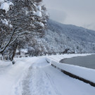 Winter Sonne 2013 _15__jpg-1360450193