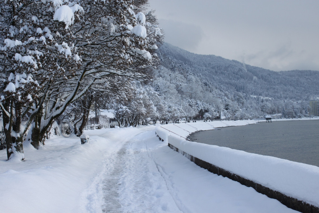 Winter Sonne 2013 _15__jpg-1360450193