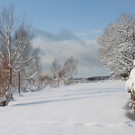 Winter Sonne 2013 _16__jpg-1360450198