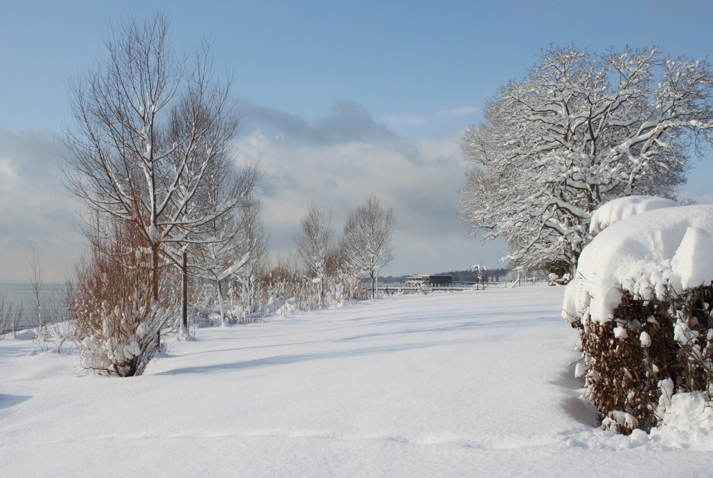 Winter Sonne 2013 _16__jpg-1360450198