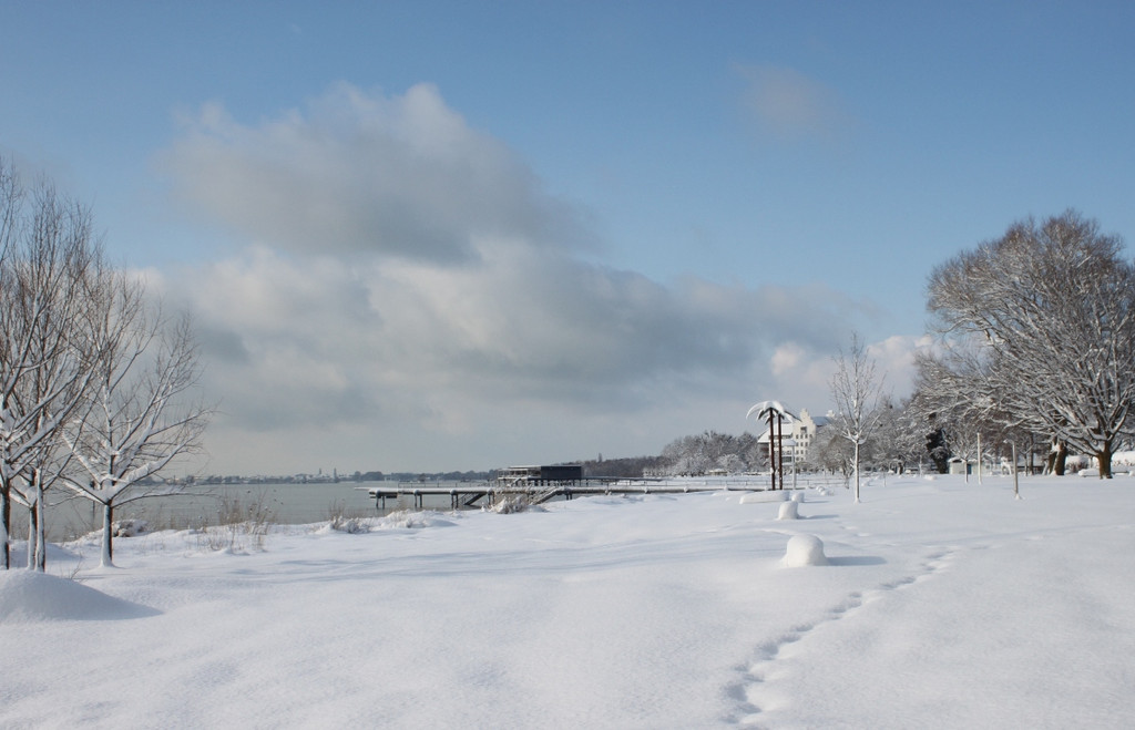 Winter Sonne 2013 _19__jpg-1360450211