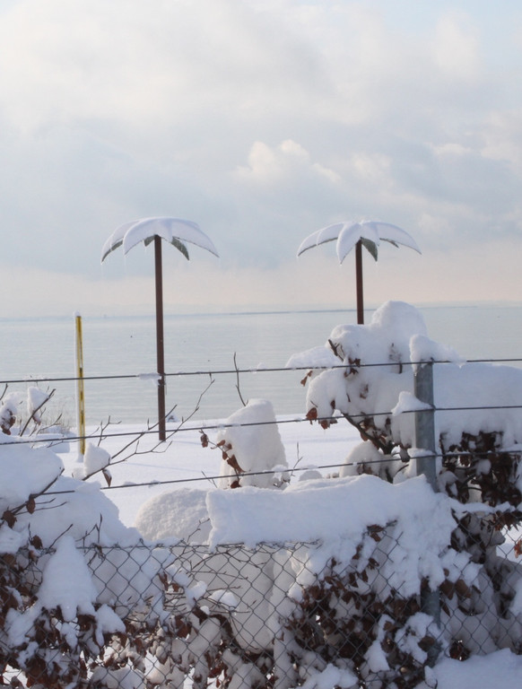 Winter Sonne 2013 _21__jpg-1360450221