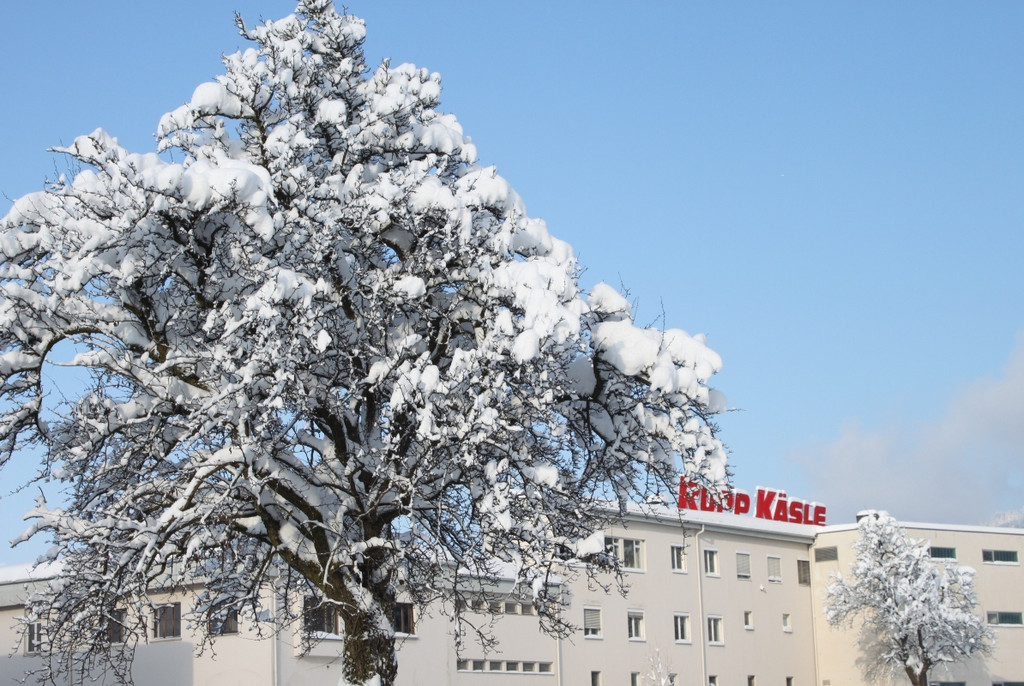 Winter Sonne 2013 _23__jpg-1360450232