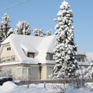 Winter Sonne 2013 _24__jpg-1360450237