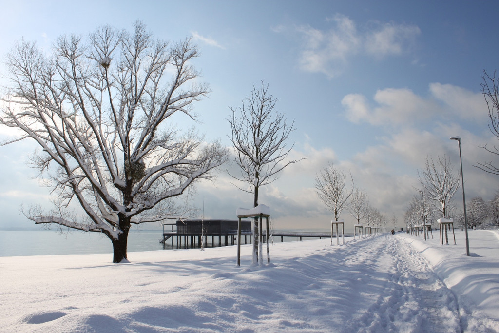 Winter Sonne 2013 _25__jpg-1360450242