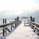 Winter Sonne 2013 _32__jpg-1360450270