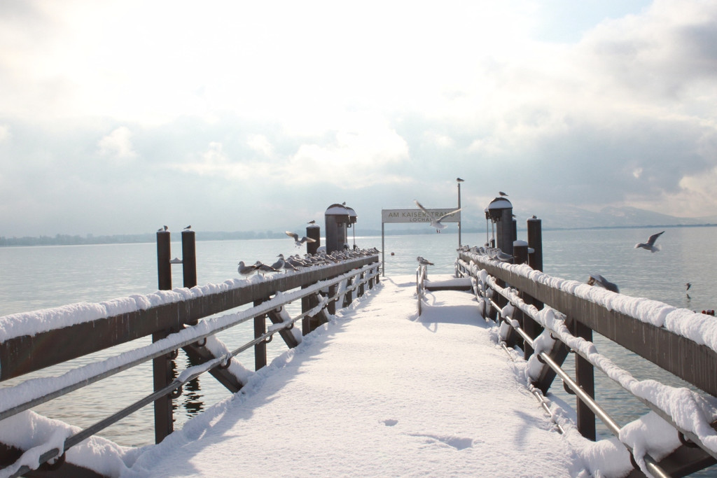 Winter Sonne 2013 _32__jpg-1360450270