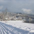 Winter Sonne 2013 _27__jpg-1360450251