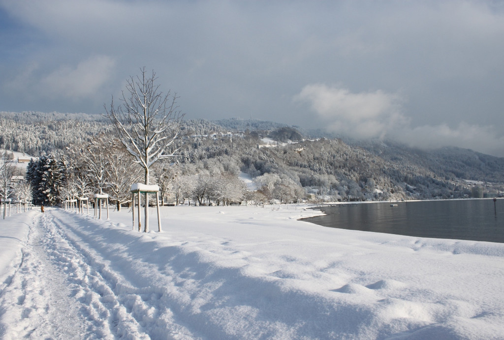 Winter Sonne 2013 _27__jpg-1360450251