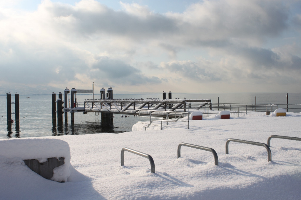 Winter Sonne 2013 _30__jpg-1360450263
