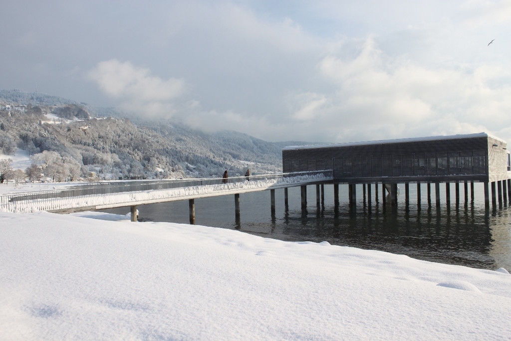 Winter Sonne 2013 _28__jpg-1360450255