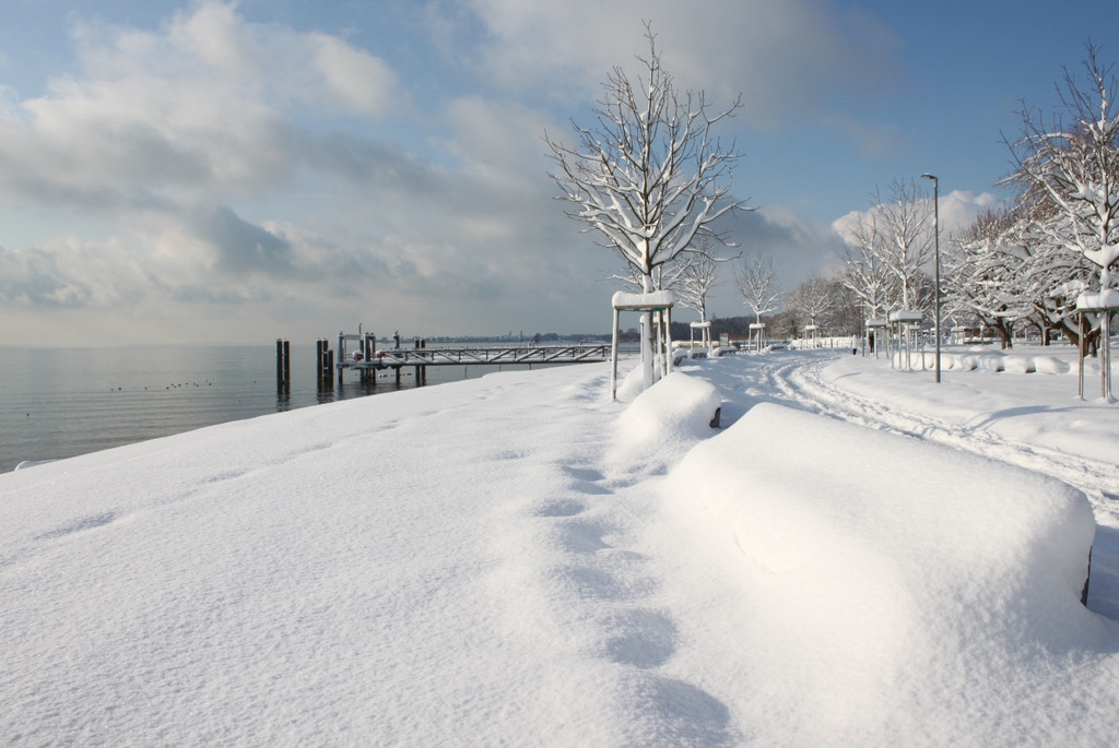 Winter Sonne 2013 _29__jpg-1360450259