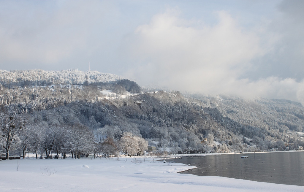 Winter Sonne 2013 _37__jpg-1360450292