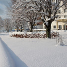 Winter Sonne 2013 _39__jpg-1360450302