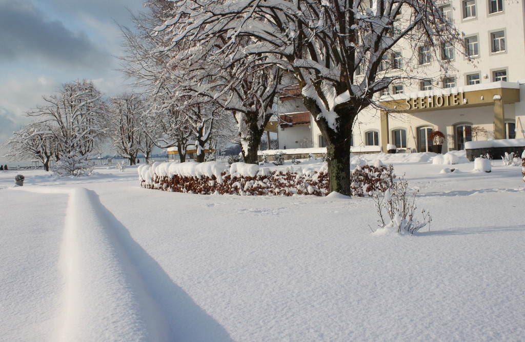 Winter Sonne 2013 _39__jpg-1360450302