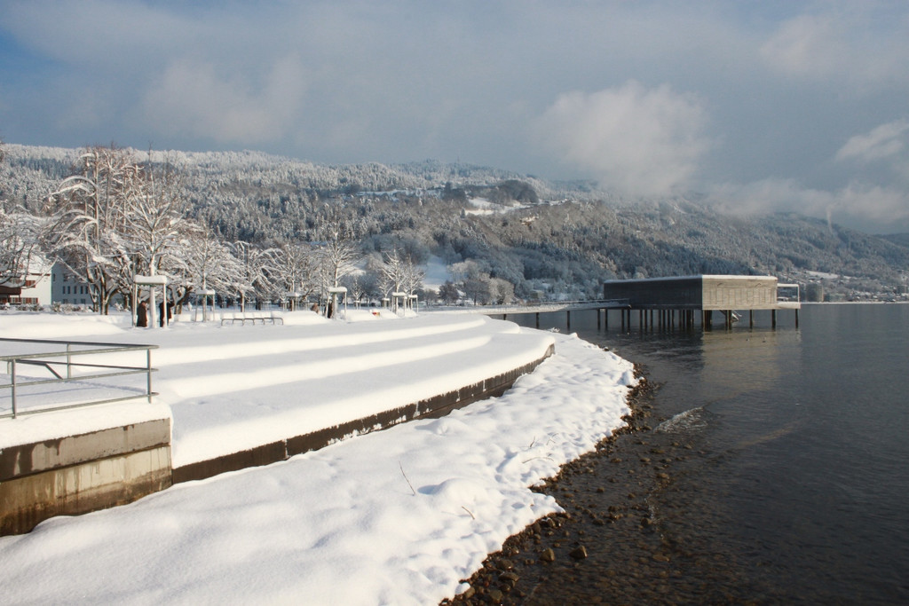 Winter Sonne 2013 _33__jpg-1360450274