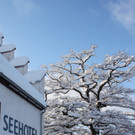Winter Sonne 2013 _41__jpg-1360450312