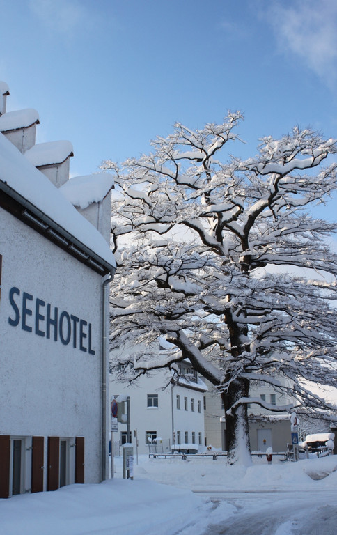 Winter Sonne 2013 _41__jpg-1360450312