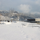 Winter Sonne 2013 _35__jpg-1360450283