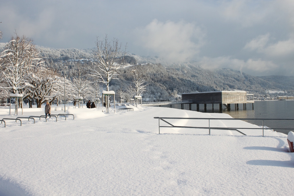Winter Sonne 2013 _35__jpg-1360450283