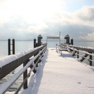 Winter Sonne 2013 _34__jpg-1360450278