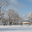 Winter Sonne 2013 _36__jpg-1360450288