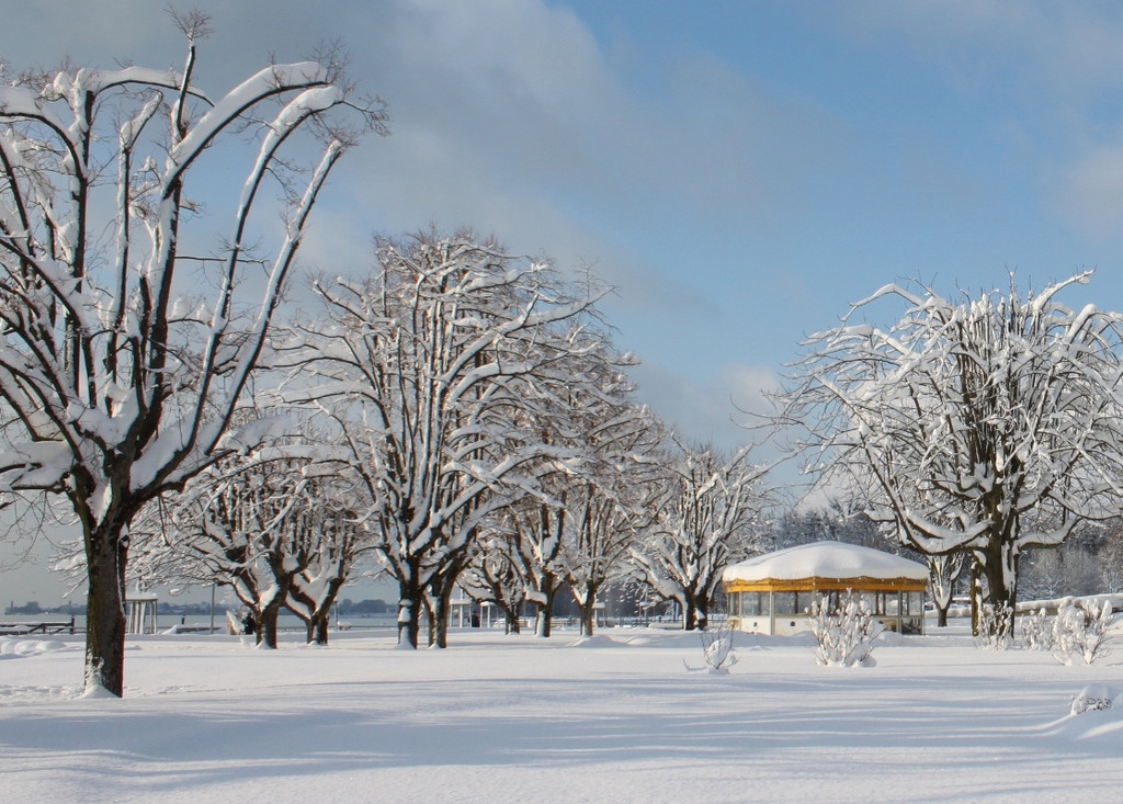 Winter Sonne 2013 _36__jpg-1360450288