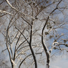 Winter Sonne 2013 _50__jpg-1360450366