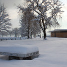 Winter Sonne 2013 _45__jpg-1360450335